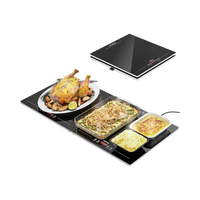 Feppo 2-in-1 Modular Warming Tray