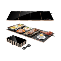Feppo 4-in-1 Modular Warming Tray