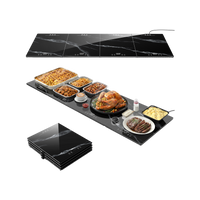 Feppo 12"×16" Modular Warming Tray