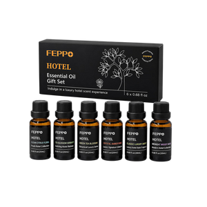 FEPPO Hotel Diffuser Oil Gift Set