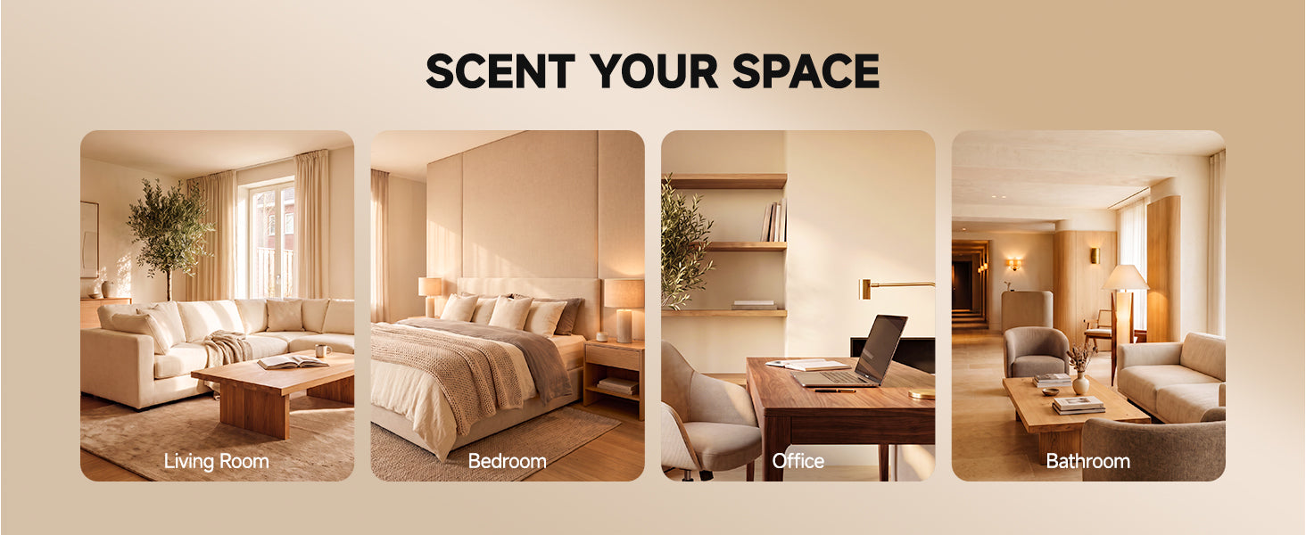 Scent Every Space
