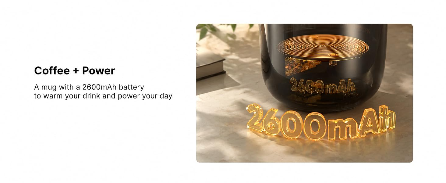 2600mAh Battery