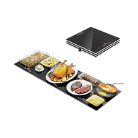 Feppo 3-in-1 Modular Warming Tray